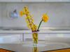 apartmani-bozur-zlatibor-1-04