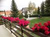 apartmani-bozur-zlatibor-vila-3