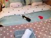 zlatibor-smestaj-apartman-iskra-2-07